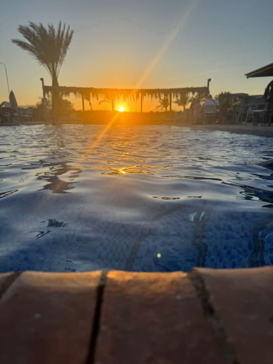 Pool Fort Arabesque - The West Bay