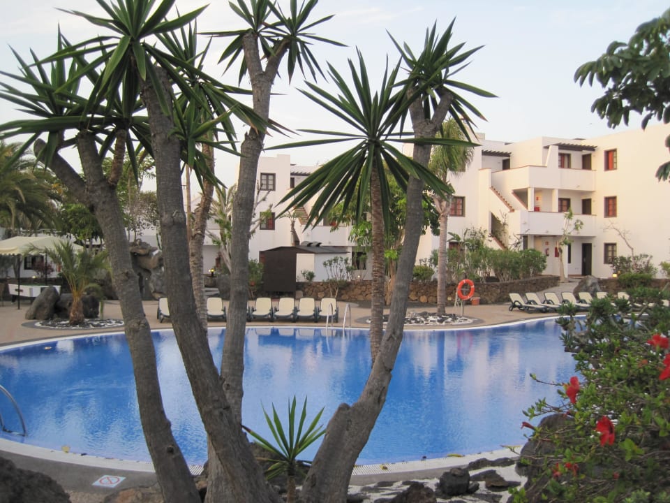 Poolanlage allsun App.-Hotel Albatros