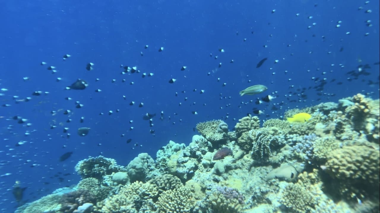 Sport & Freizeit Akassia Swiss Resort