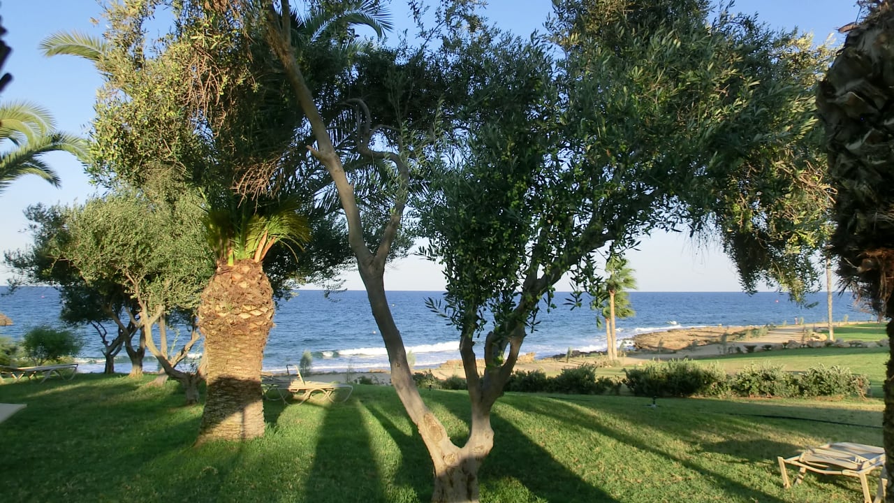 Gartenanlage Crystal Springs Beach Hotel