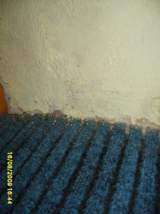 Schimmel an der Wand Hotel Marco Polo