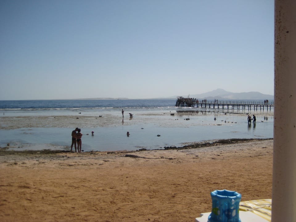 Strand und Steg im Hintergrund Parrotel Beach Resort