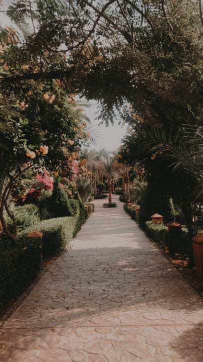 Gartenanlage Dream Lagoon Resort & Aqua Park