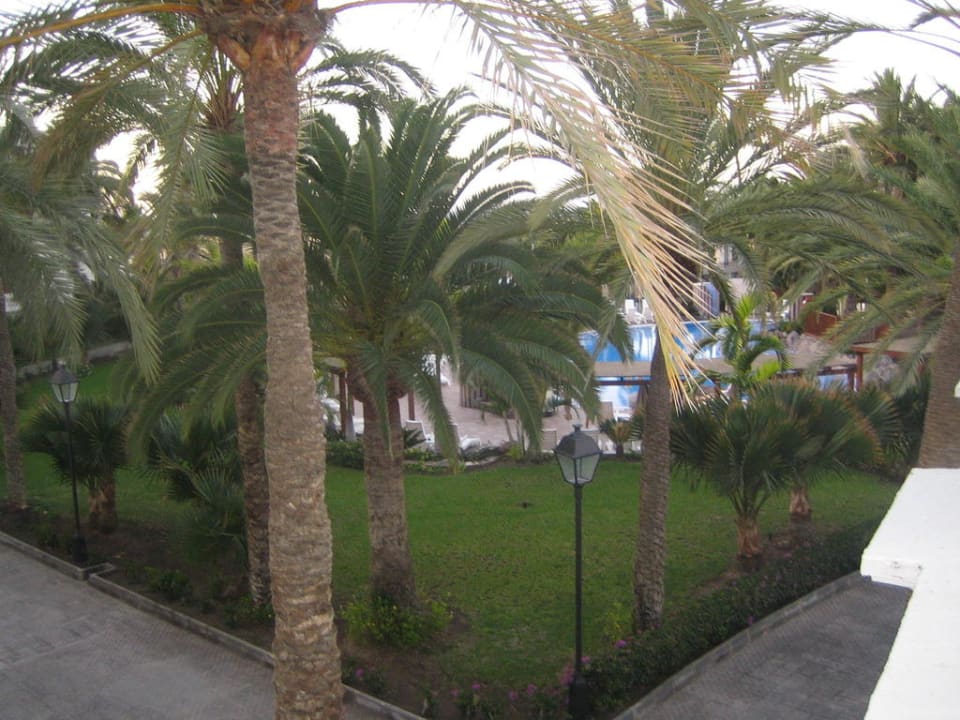 Garten und Pool Hotel Riu Palace Maspalomas Adults Only