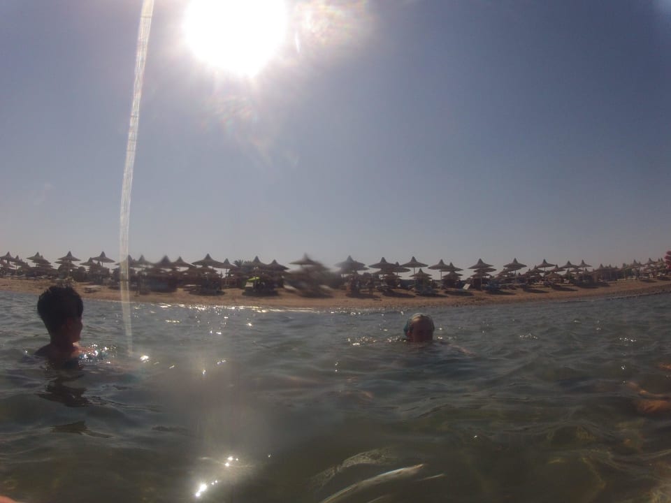 Erfrischend Ali Baba Palace Resort