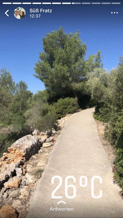 Gartenanlage Hotel Club Cala Romani