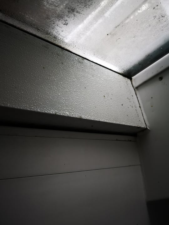 Zimmer Gästehaus Holzer