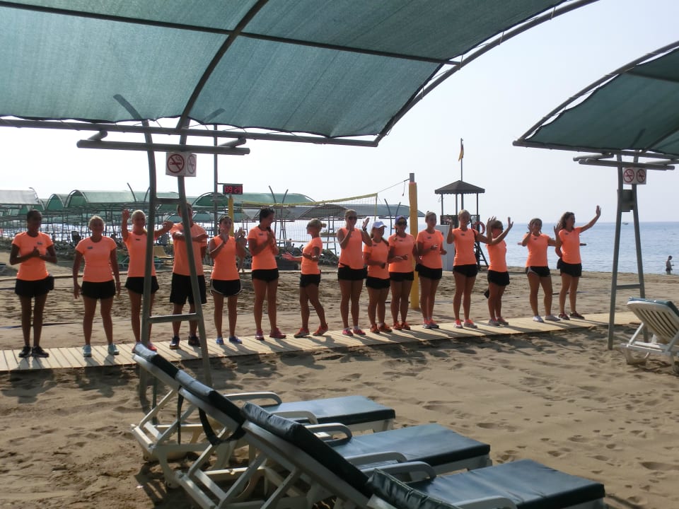 Begrüßung am Morgen Papillon Belvil