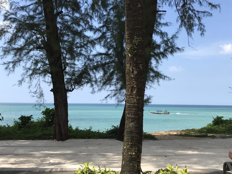Hier stehen die Hotelliegen X10 Khaolak Resort