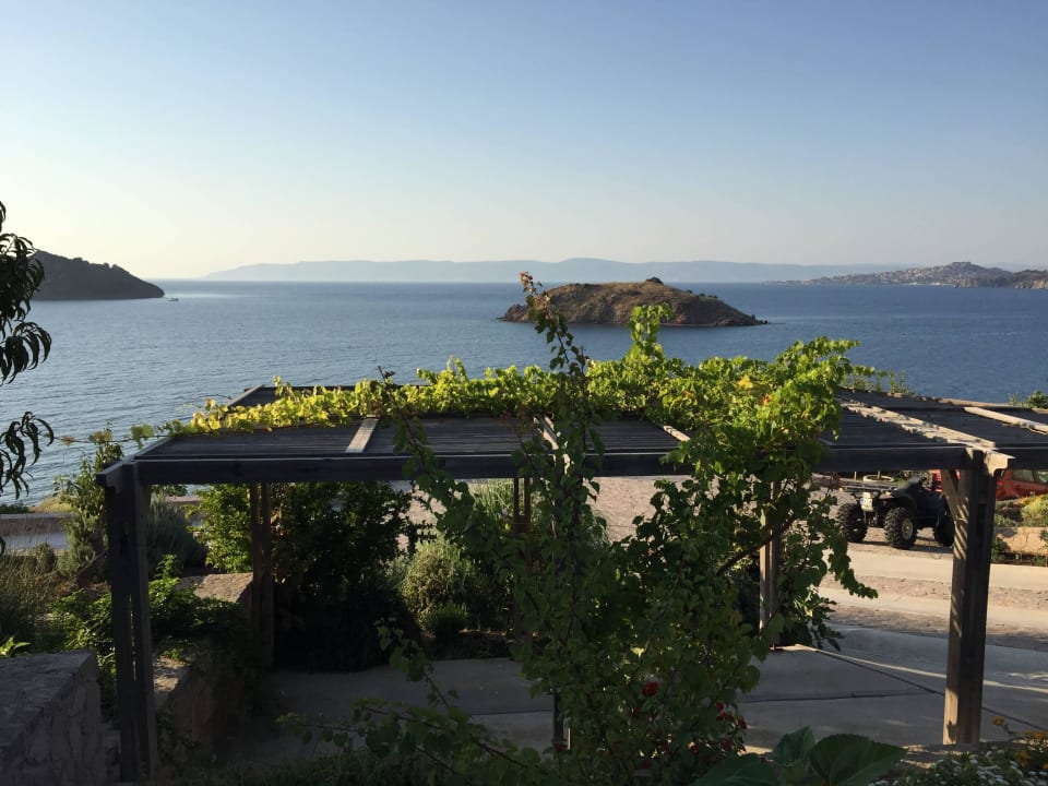 Blick von der Terrasse auf das Meer Guesthouse Birds Bay