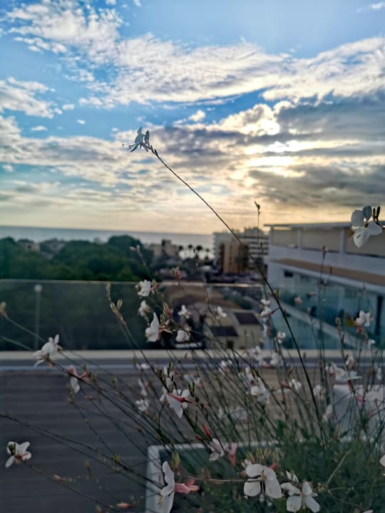 Ausblick allsun Hotel Cristóbal Colón