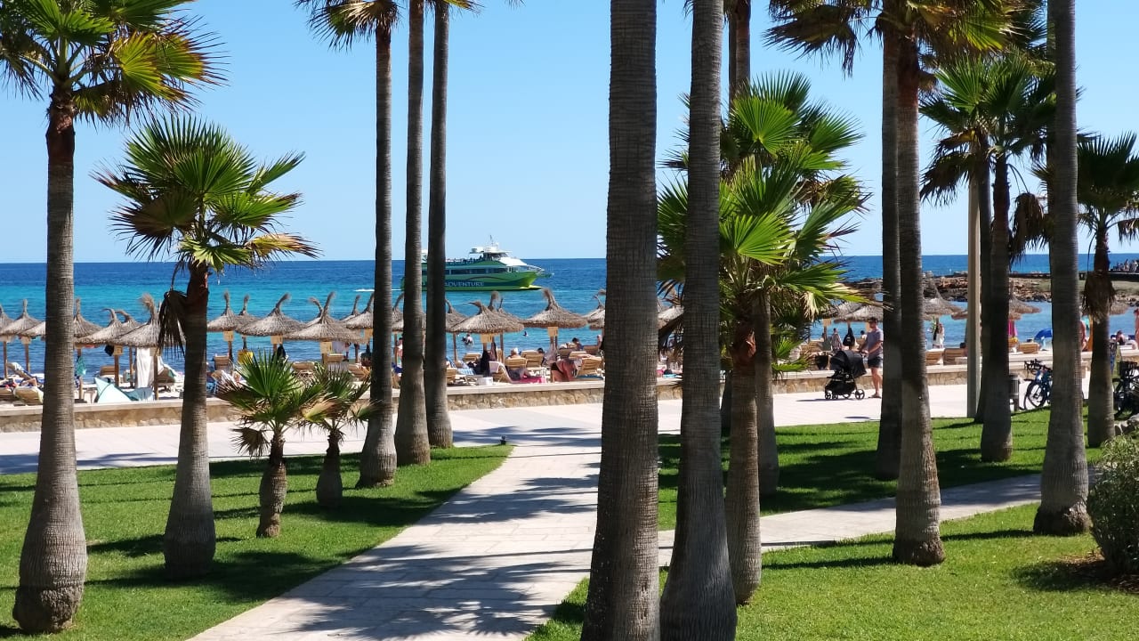 Gartenanlage Hipotels Mediterraneo