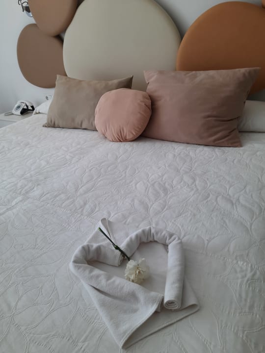 Zimmer Son Moll Sentits Hotel & Spa