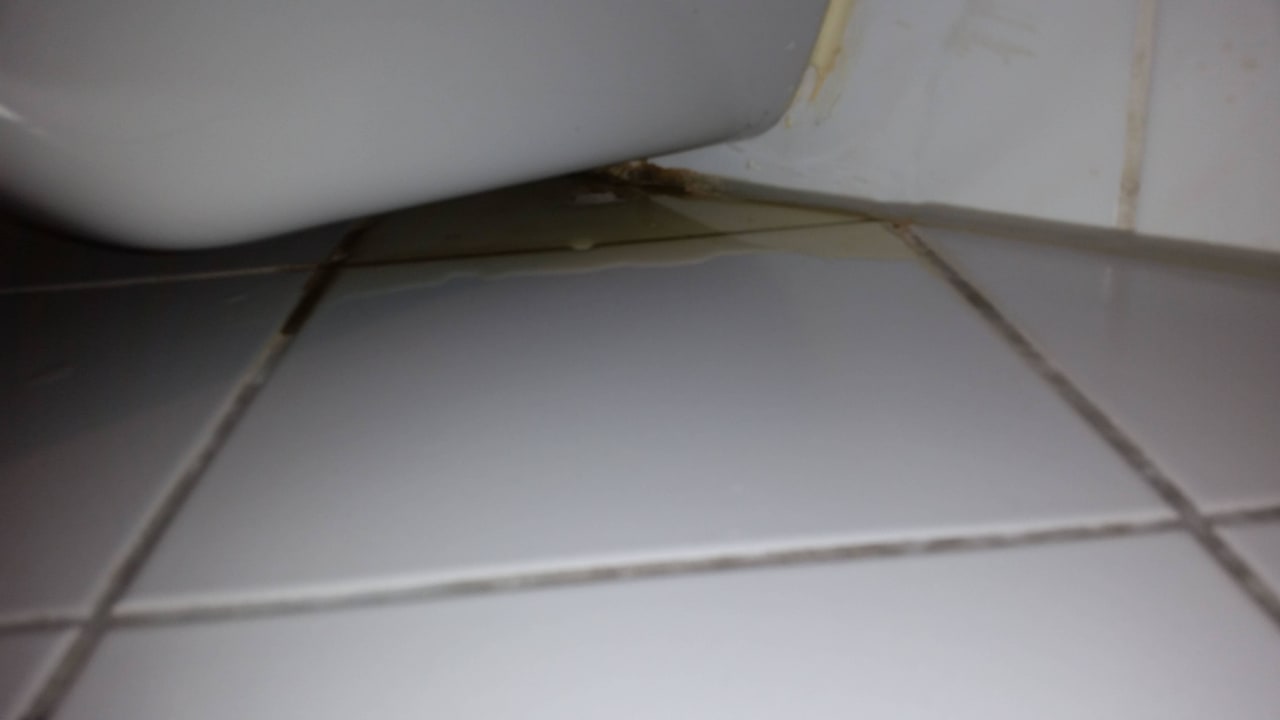 Ausgelaufene Toilette Leonardo Hotel Düsseldorf Airport - Ratingen