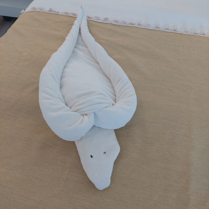 Zimmer Tropical Attitude - Adults only