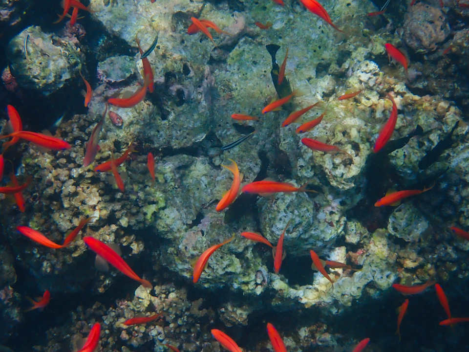 Strand Kuredu Island Resort & Spa