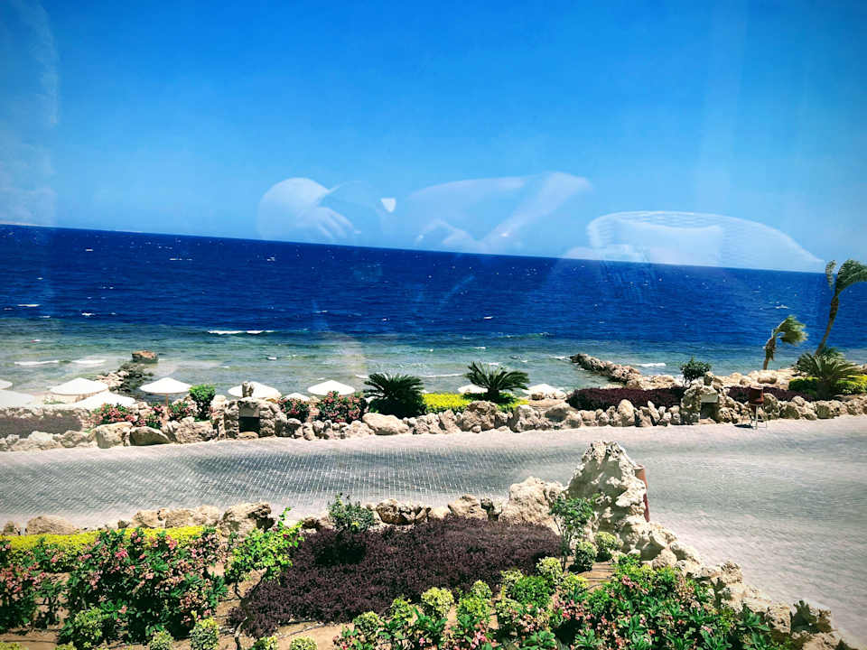 Ausblick Pickalbatros Citadel Resort