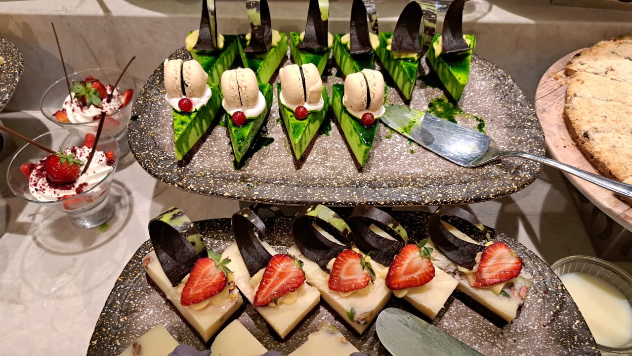 Gastro PALOMA Perissia