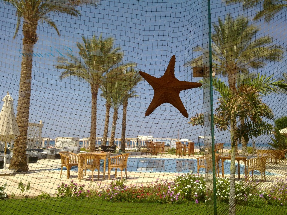 Vom Pool- und Fischrestaurant zum Strand Premier Le Reve Hotel & Spa