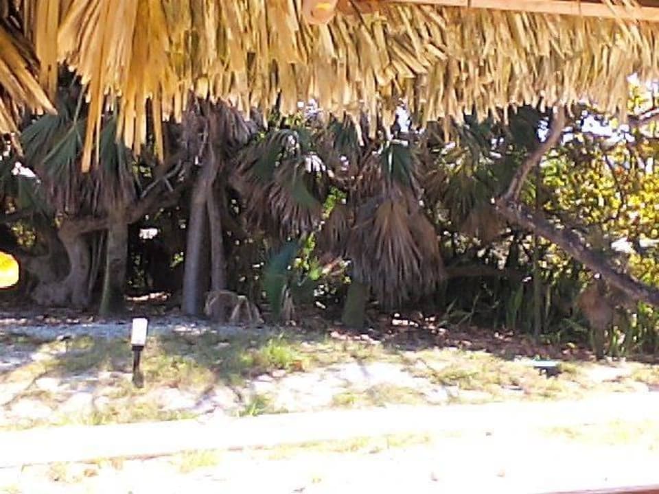 OW Hotel Tuxpan Varadero