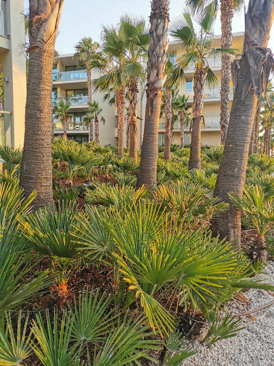 Gartenanlage Algarve Marriott Salgados Golf Resort & Spa