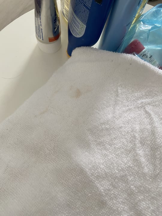 Zimmer Alcudia Garden Aparthotel