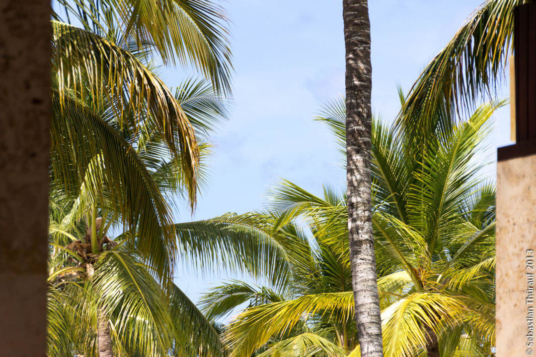 Blick Lobby Richtung Strand Dreams La Romana Resort & Spa