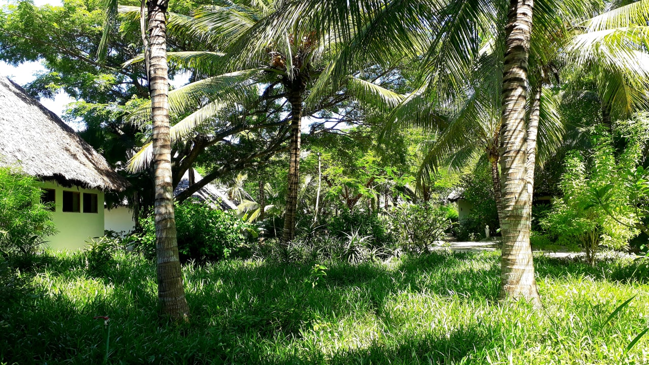 Gartenanlage Spice Island Hotel & Resort