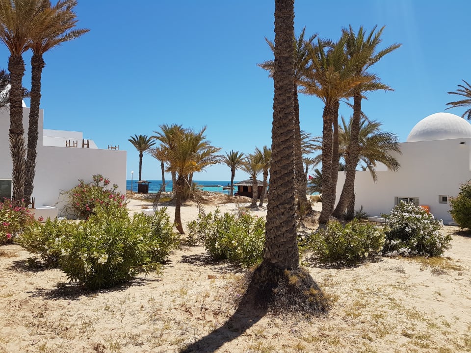 Gartenanlage Hotel El Mouradi Djerba Menzel