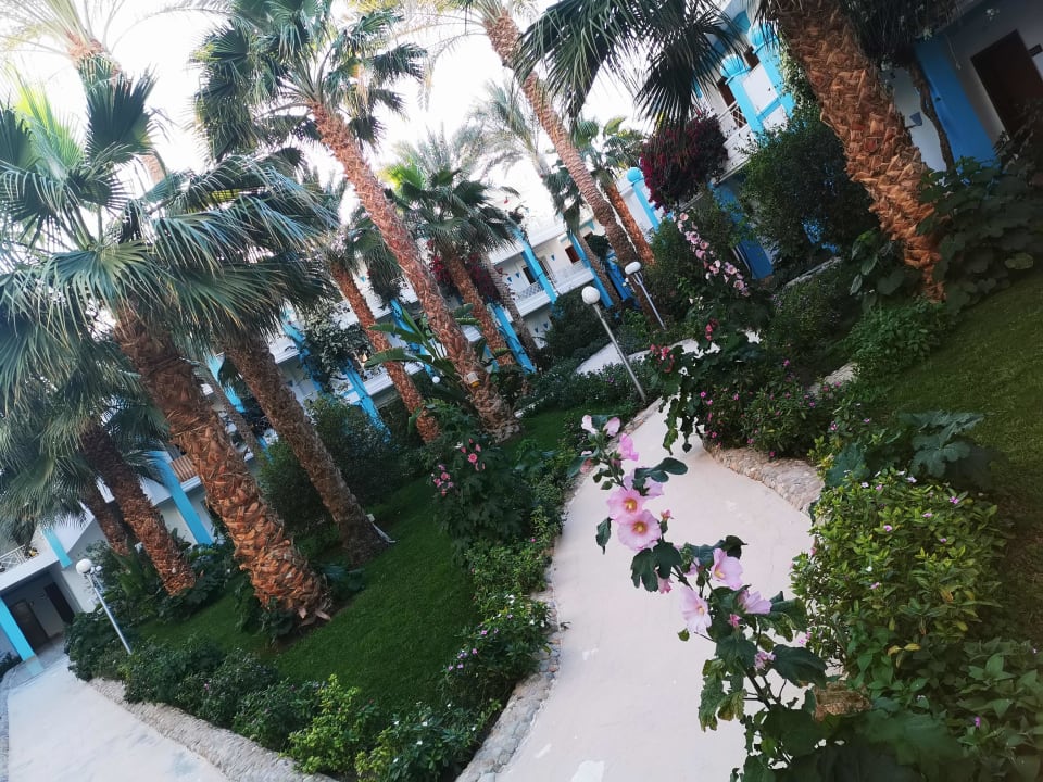 Ausblick Mirage Bay Resort & Aqua Park