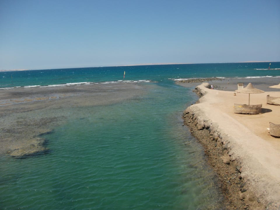 Beginn offenes Meer Desert Rose