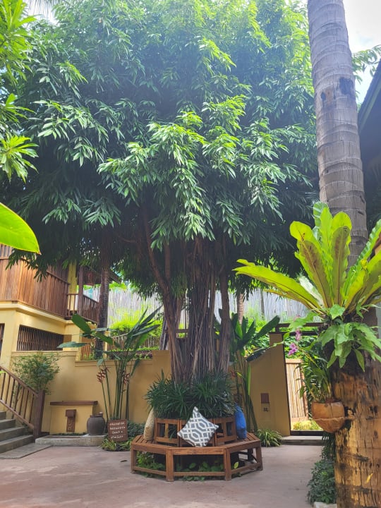 Sonstiges Buri Rasa Village Samui Adults Only Resort