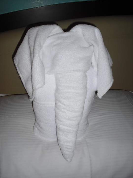 Kleine Geste  The Cove Rotana Resort