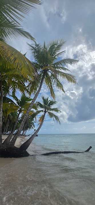 Ausblick TRS Turquesa Hotel - Adults only