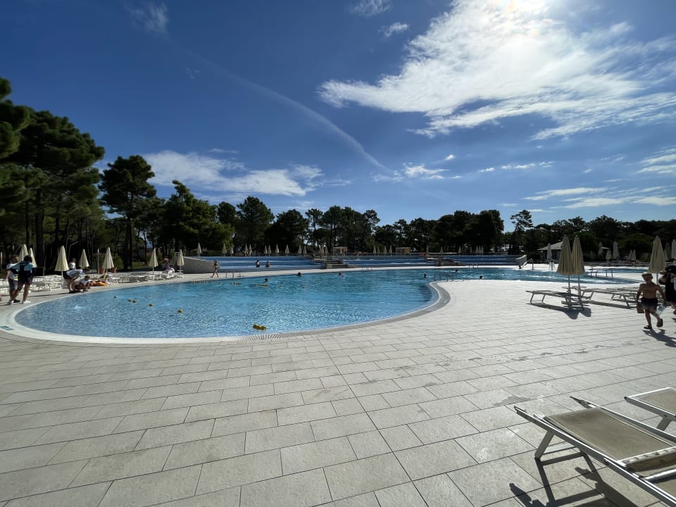 Pool Apartments in Zaton With Pool