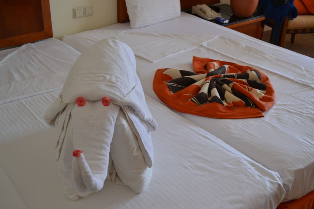 Zimmer Jaz Grand Marsa