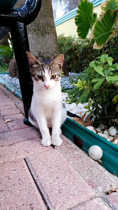 Gartenanlage VONRESORT Golden Beach