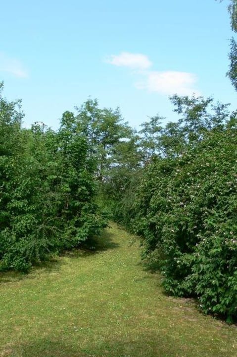 Blick in den Garten Hotel Säumerhof
