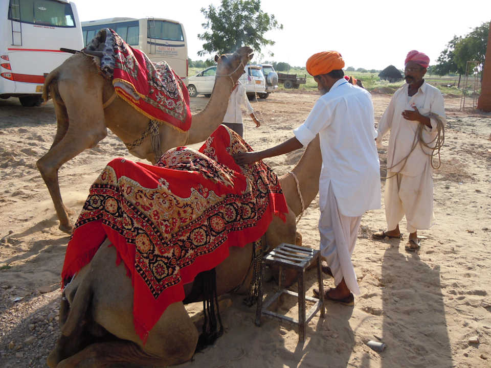 Kamelsafari Hotel Mirvana Nature Resort