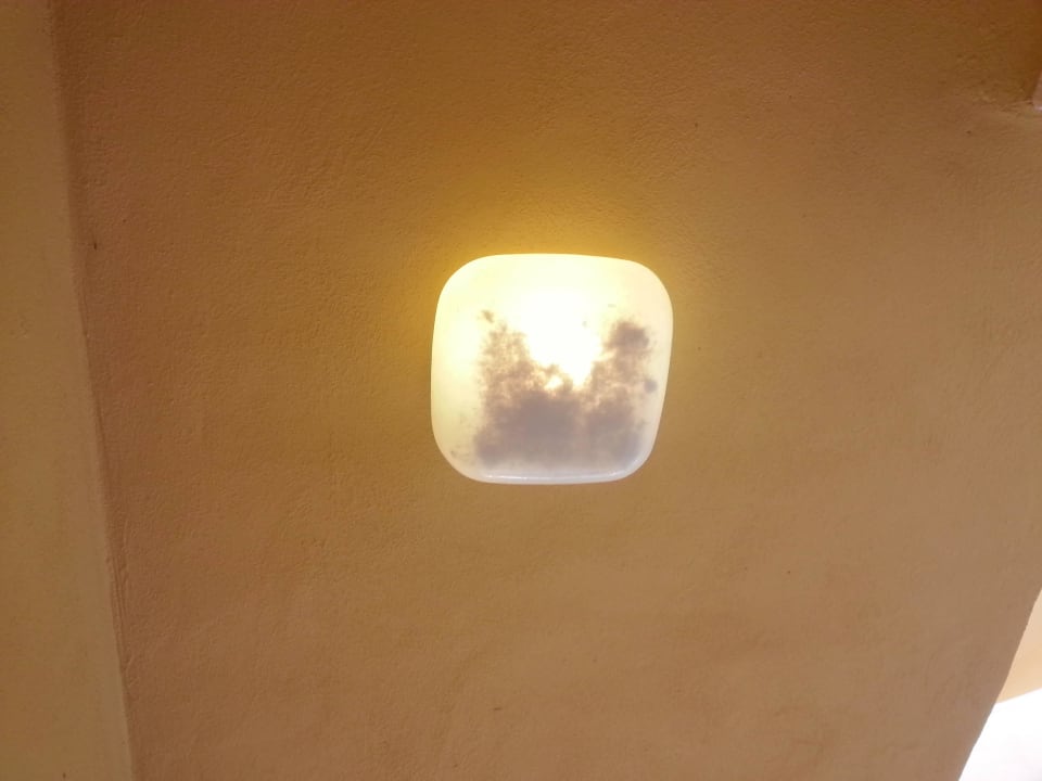 Lampen vor der Zimmertür, das schwarze sind tote  SBH Costa Calma Beach Resort
