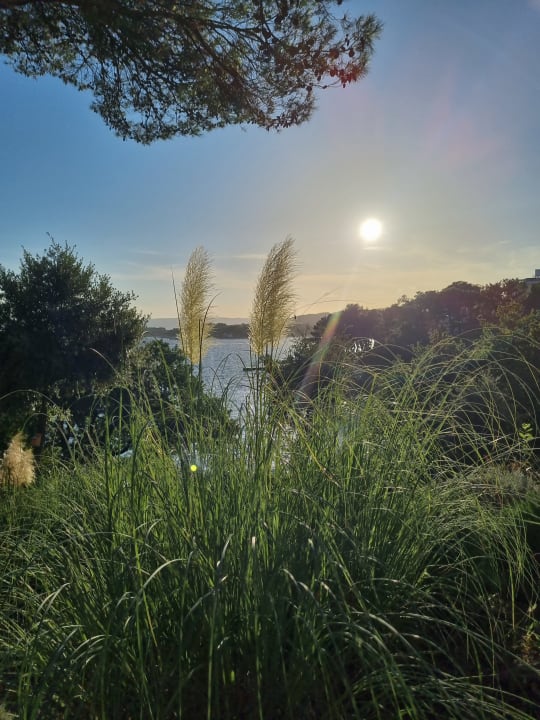 Außenansicht Sunny Krk by Valamar