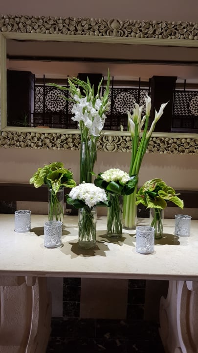 Lobby Makadi Spa - Adults only