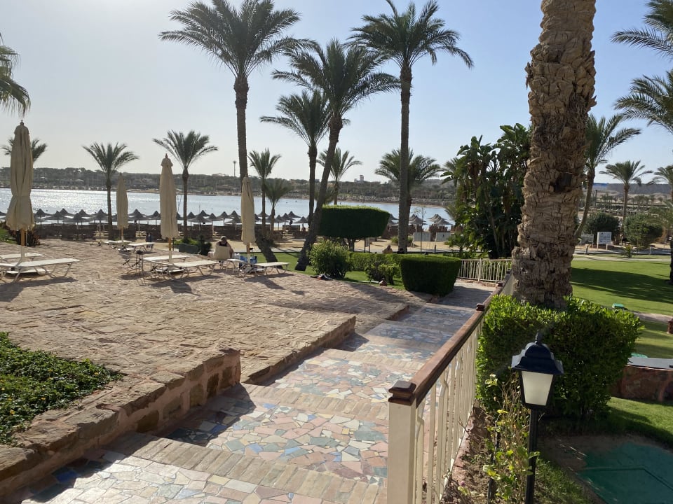 Ausblick Steigenberger Coraya Beach - Adults only