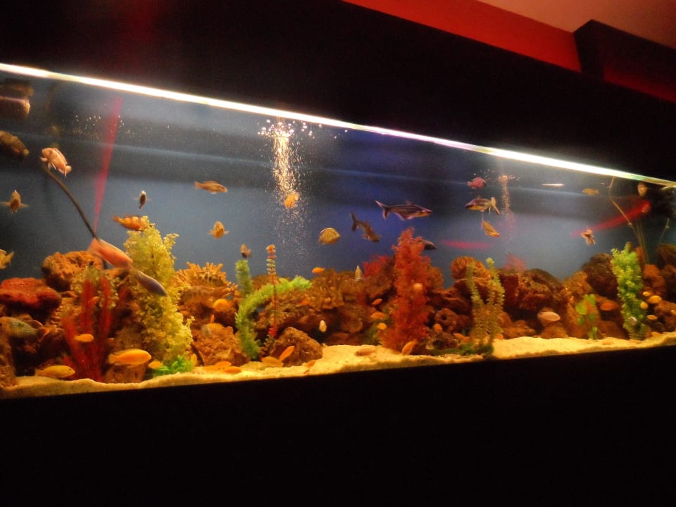 Spa-Bereich Seaden Sea World Resort & Spa