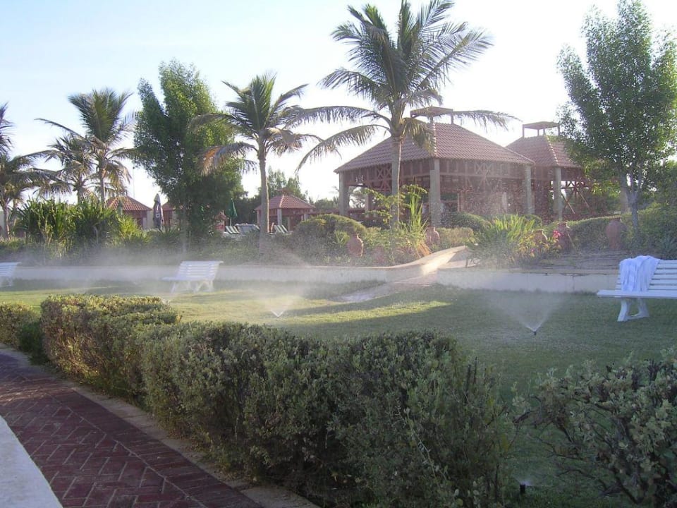 Bewässerung frühmorgens Umm Al Quwain Beach Hotel