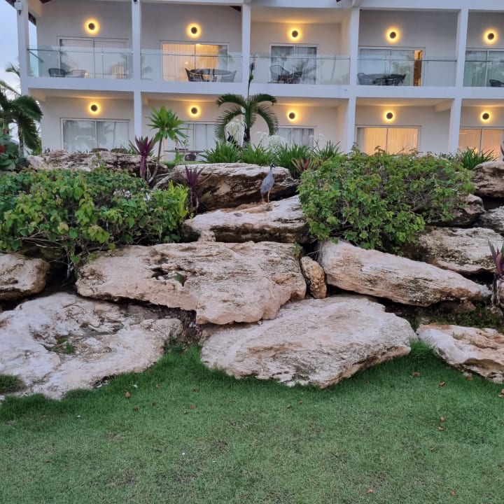 Gartenanlage Dreams La Romana Resort & Spa