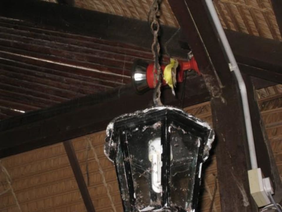 Kolibri Hotel Beach Garden Resort