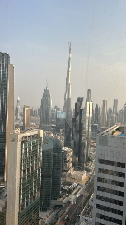 Ausblick Rose Rayhaan by Rotana