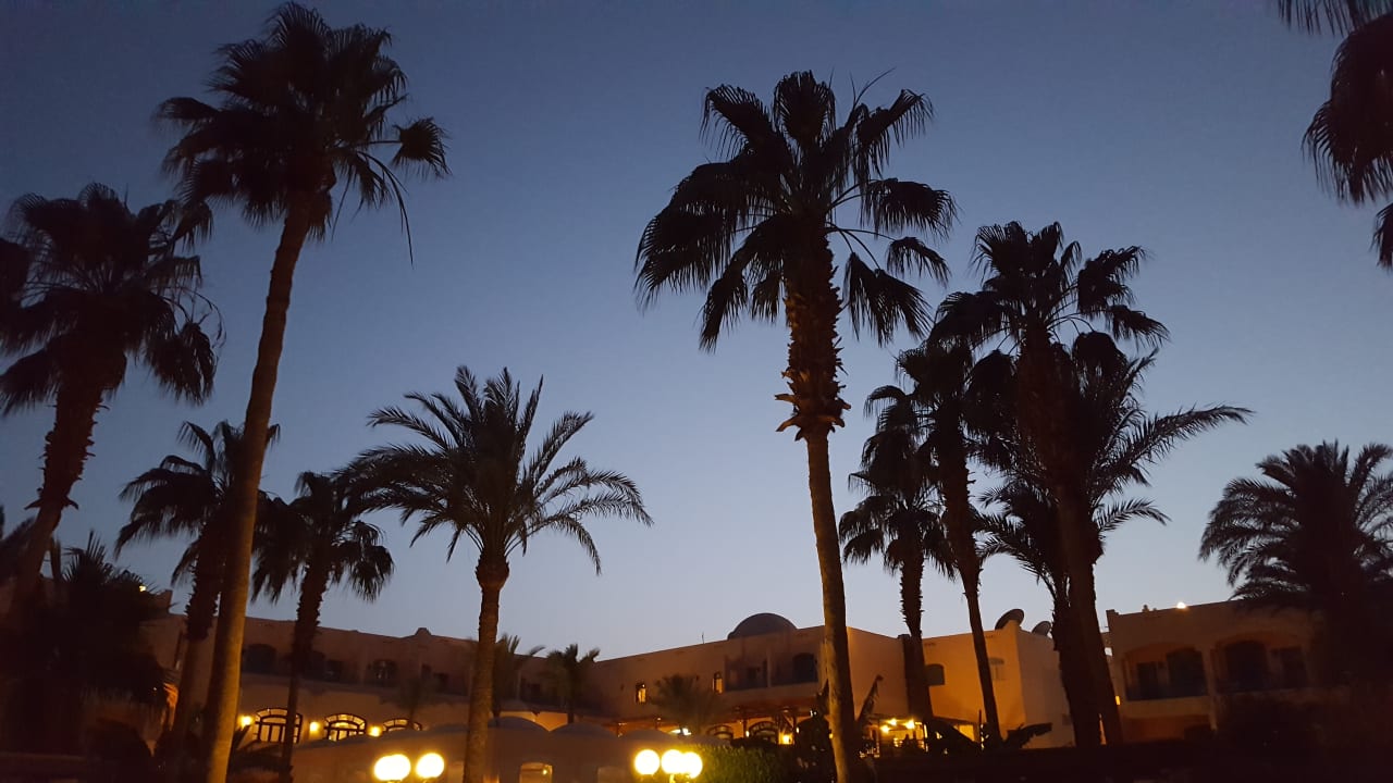 Gartenanlage Hotel Le Pacha Beach Resort