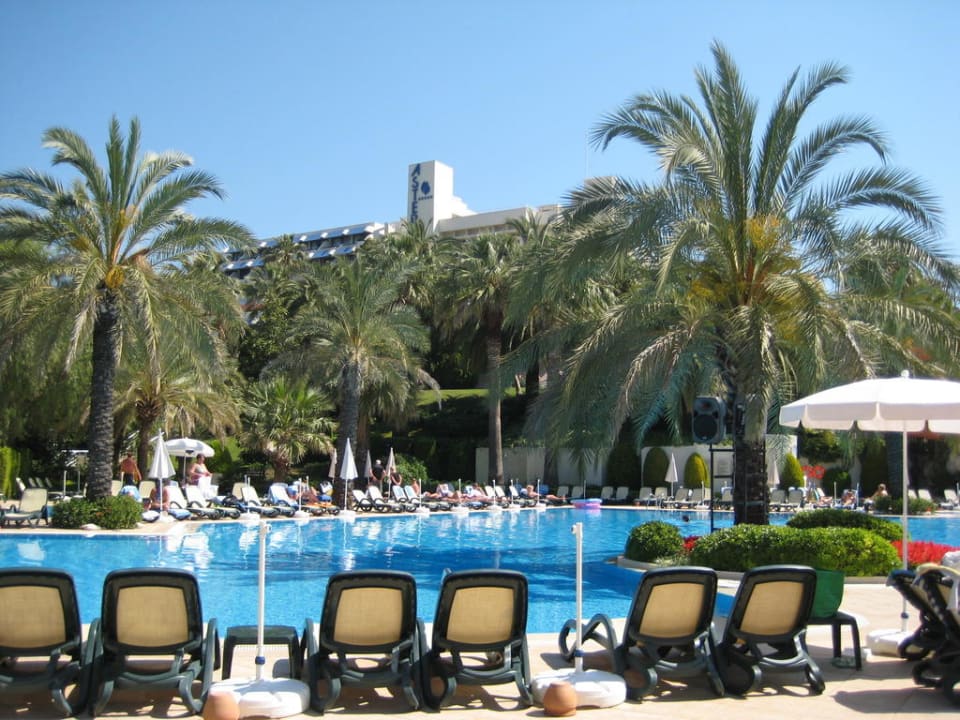 Pool Side Star Elegance